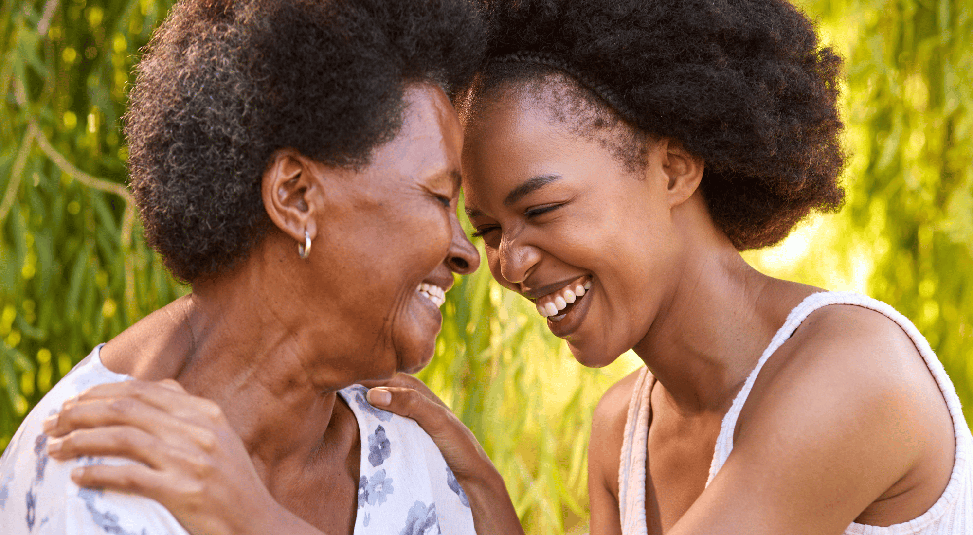 Home Page Hero Home Page Hero